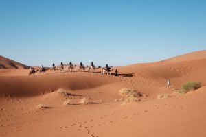 On the move in the desert | Ken Walker Writer