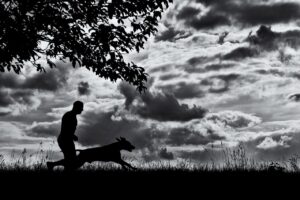 Canines Can Capture Your Heart blog post by Ken Walker Writer. Pictured a silhouette of a man walking his dog under a tree.