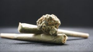 A New Kind of Reefer Madness blog post by Ken Walker Writer. Pictured: Two marijuana joints and a bud.